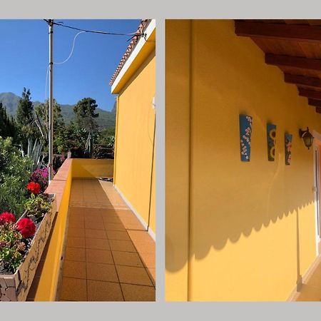 Вилла Casa Piedras Blancas With Private Garden Эль-Пасо Экстерьер фото