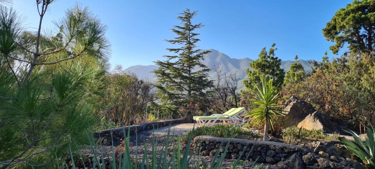 Вилла Casa Piedras Blancas With Private Garden Эль-Пасо Экстерьер фото