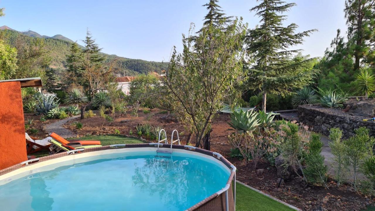 Вилла Casa Piedras Blancas With Private Garden Эль-Пасо Экстерьер фото