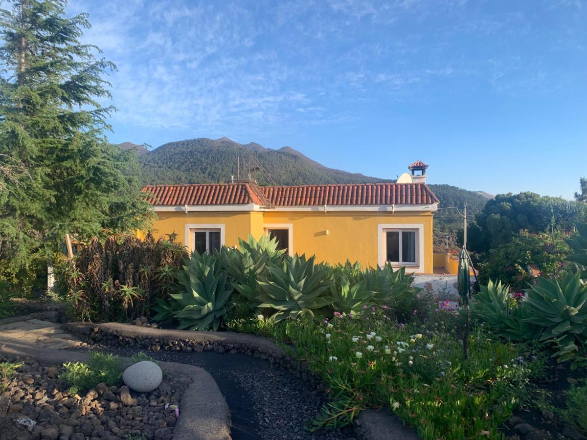 Вилла Casa Piedras Blancas With Private Garden Эль-Пасо Экстерьер фото