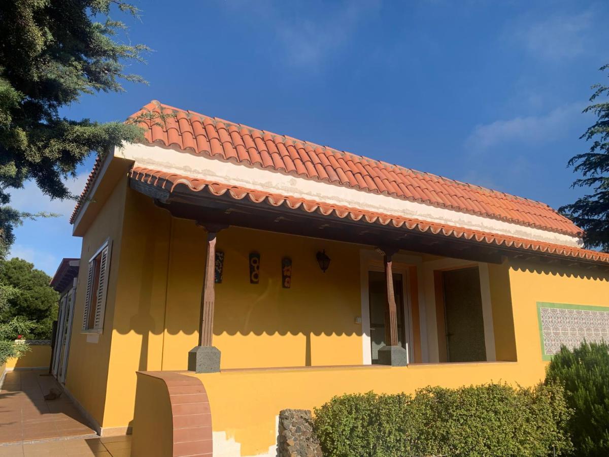 Вилла Casa Piedras Blancas With Private Garden Эль-Пасо Экстерьер фото