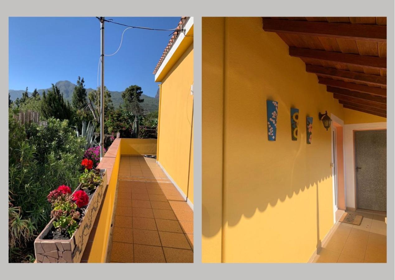 Вилла Casa Piedras Blancas With Private Garden Эль-Пасо Экстерьер фото
