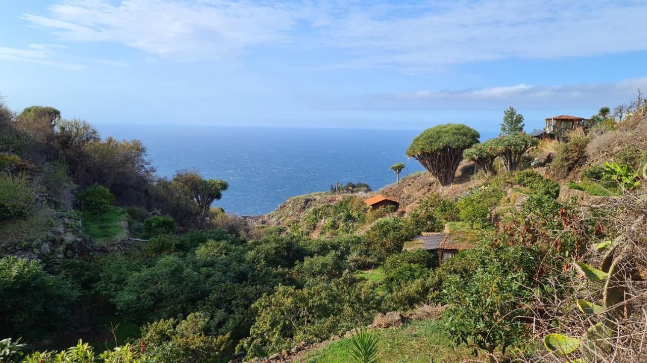 Вилла Casa Piedras Blancas With Private Garden Эль-Пасо Экстерьер фото